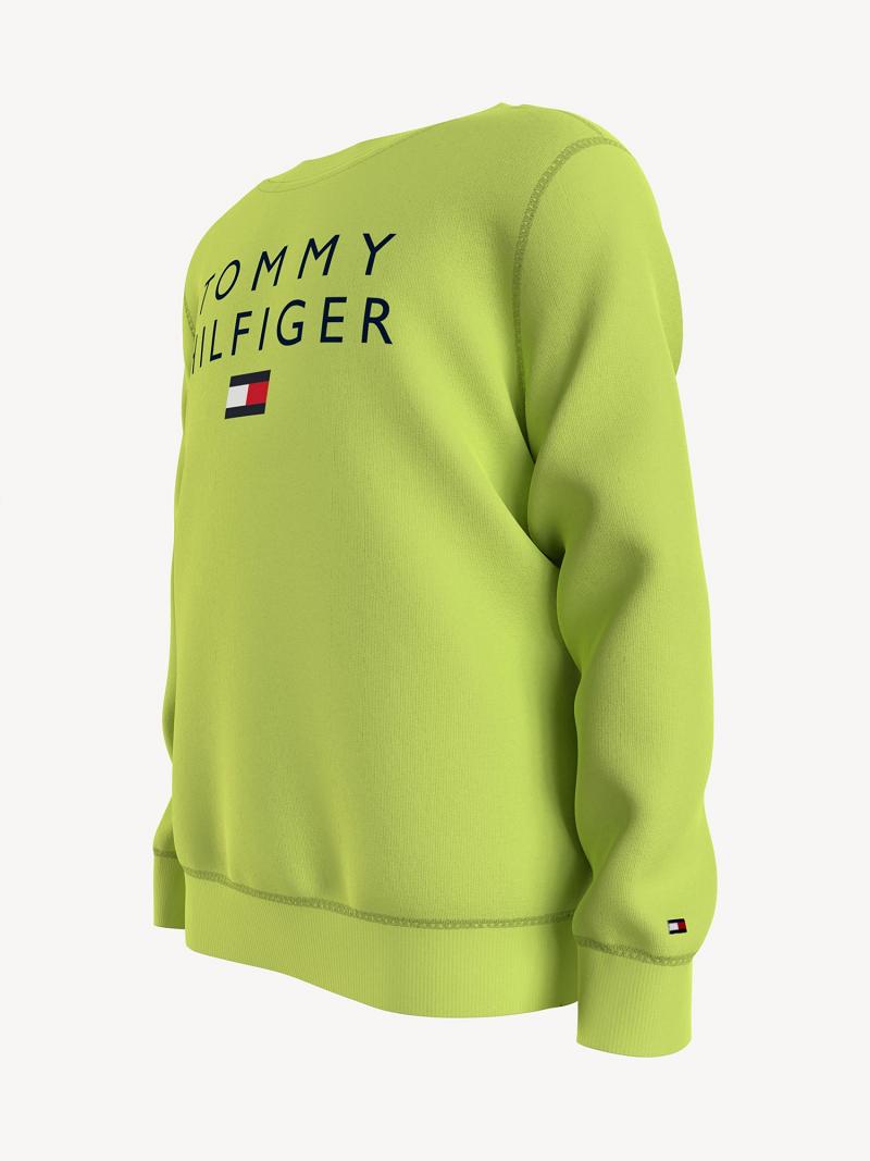 Fiú Tommy Hilfiger Tommy Pulóver Zöld | HU 2223BEX